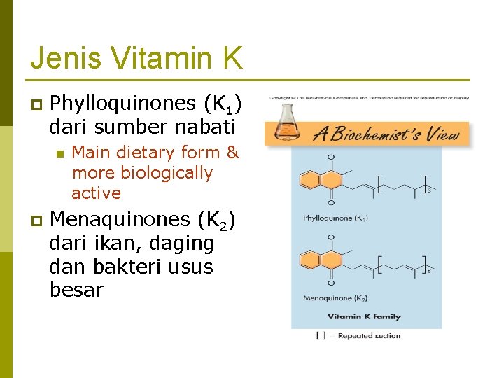 Jenis Vitamin K p Phylloquinones (K 1) dari sumber nabati n p Main dietary