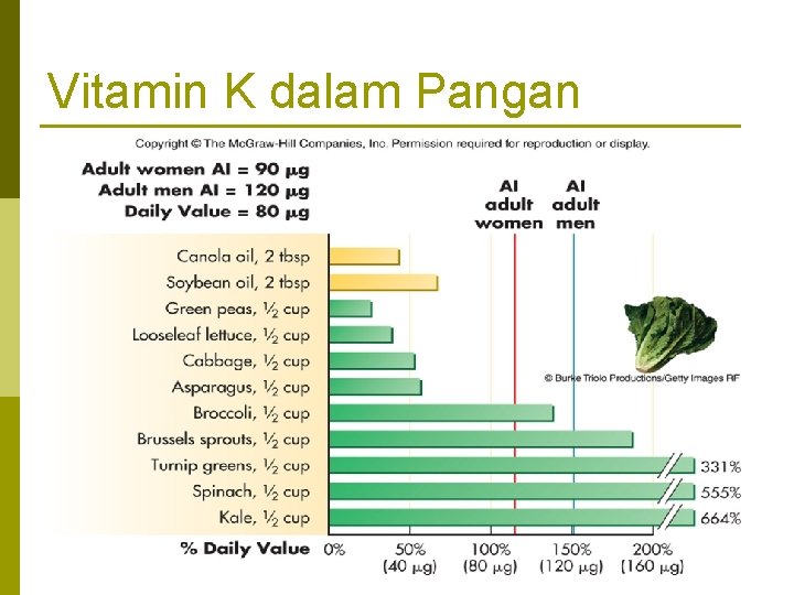 Vitamin K dalam Pangan 