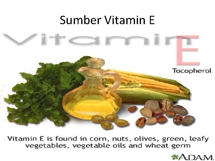 Sumber Vitamin E 