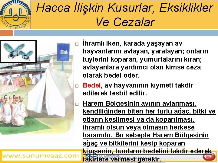 Hacca İlişkin Kusurlar, Eksiklikler Ve Cezalar İhramlı iken, karada yaşayan av hayvanlarını avlayan, yaralayan;