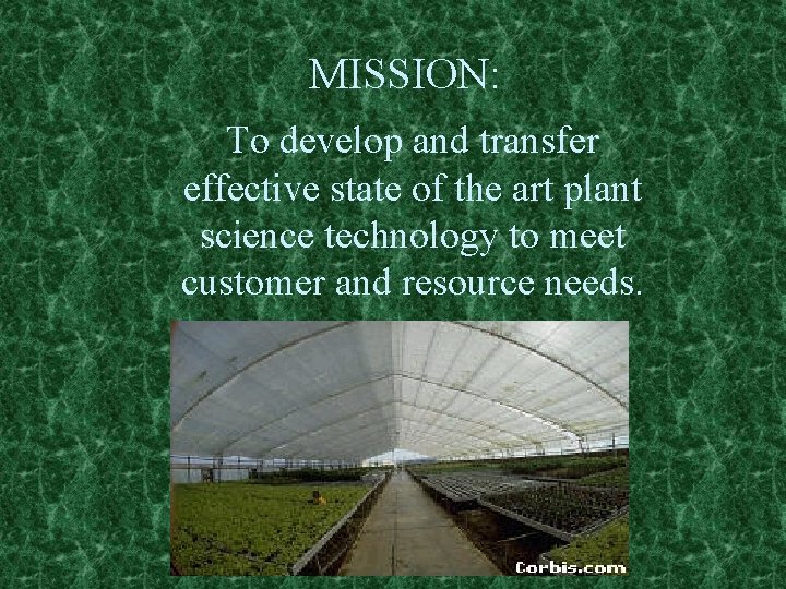 MISSION: To develop and transfer effective state of the art plant science technology to