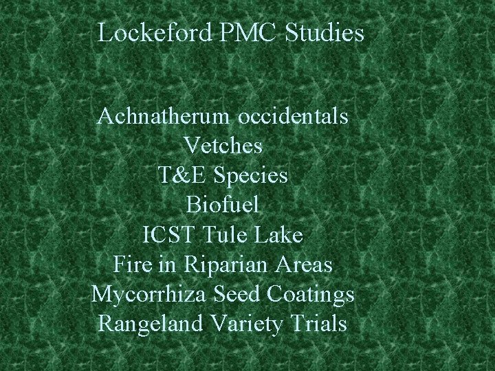 Lockeford PMC Studies Achnatherum occidentals Vetches T&E Species Biofuel ICST Tule Lake Fire in
