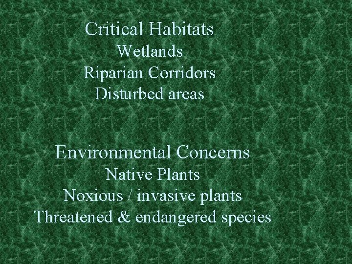 Critical Habitats Wetlands Riparian Corridors Disturbed areas Environmental Concerns Native Plants Noxious / invasive