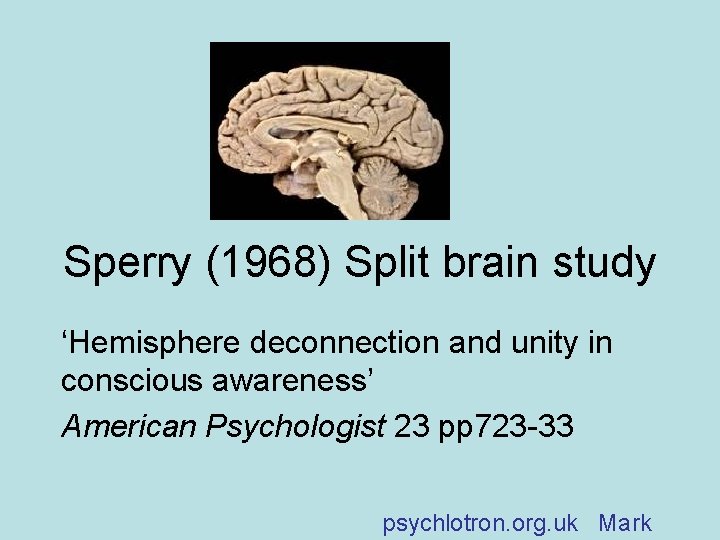 Sperry (1968) Split brain study ‘Hemisphere deconnection and unity in conscious awareness’ American Psychologist