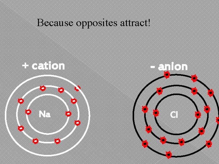 Because opposites attract! + cation Na - anion Cl 