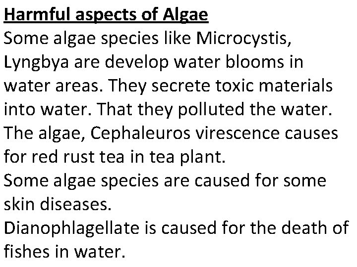 Harmful aspects of Algae Some algae species like Microcystis, Lyngbya are develop water blooms