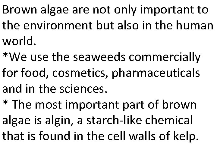 Brown algae are not only important to the environment but also in the human