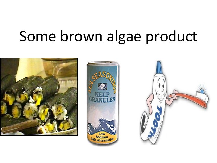 Some brown algae product 