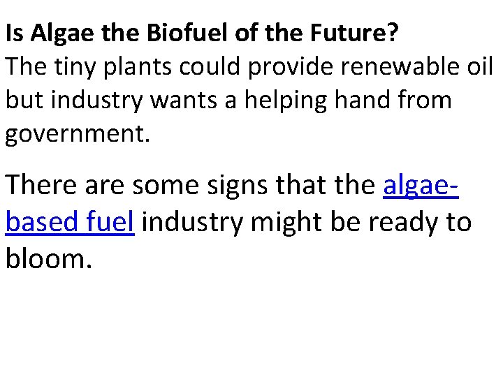 Is Algae the Biofuel of the Future? The tiny plants could provide renewable oil