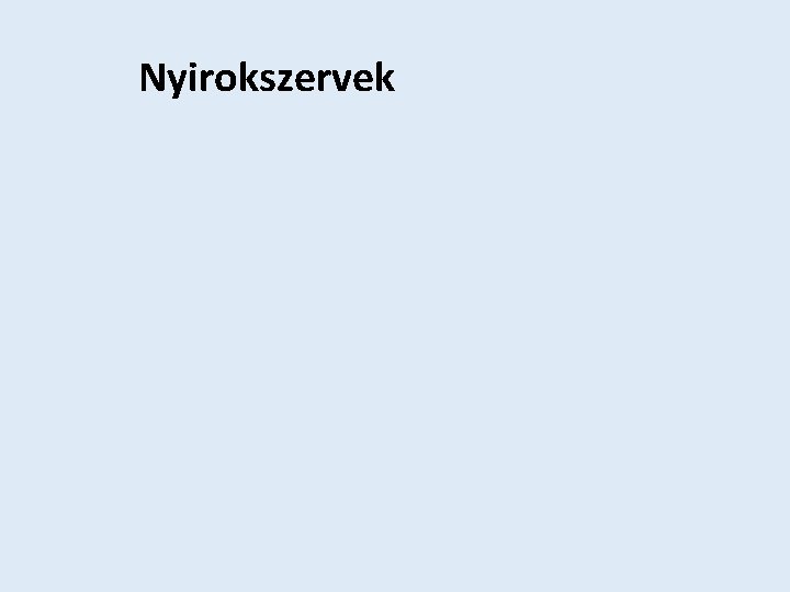 Nyirokszervek Nyirokszervek
