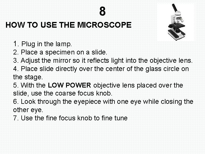 8 HOW TO USE THE MICROSCOPE 1. Plug in the lamp. 2. Place a