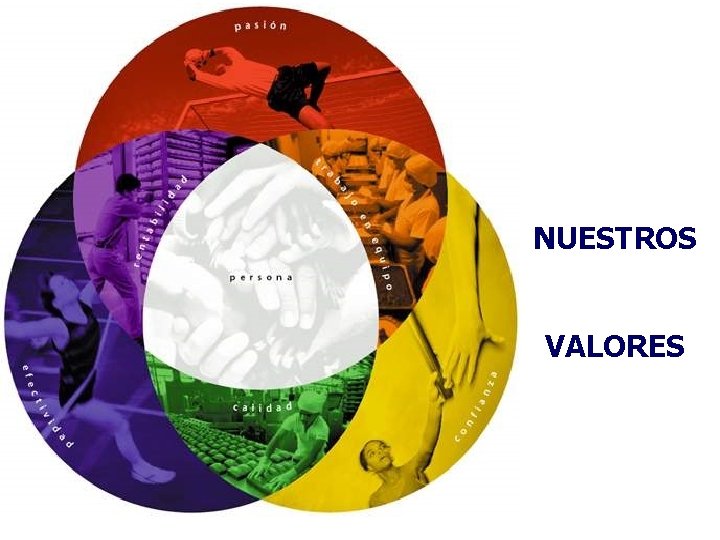 NUESTROS VALORES 16 