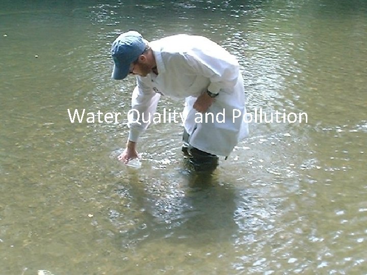 Water Quality and Pollution 