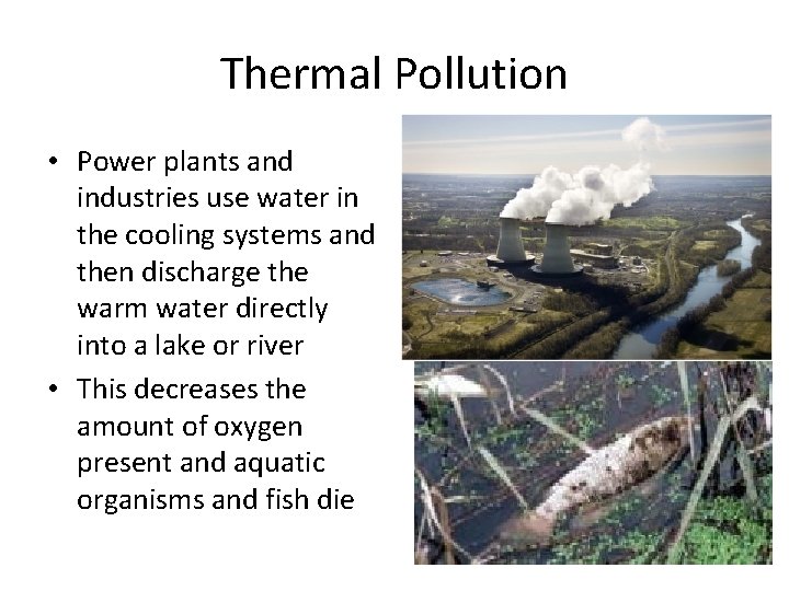 Thermal Pollution • Power plants and industries use water in the cooling systems and