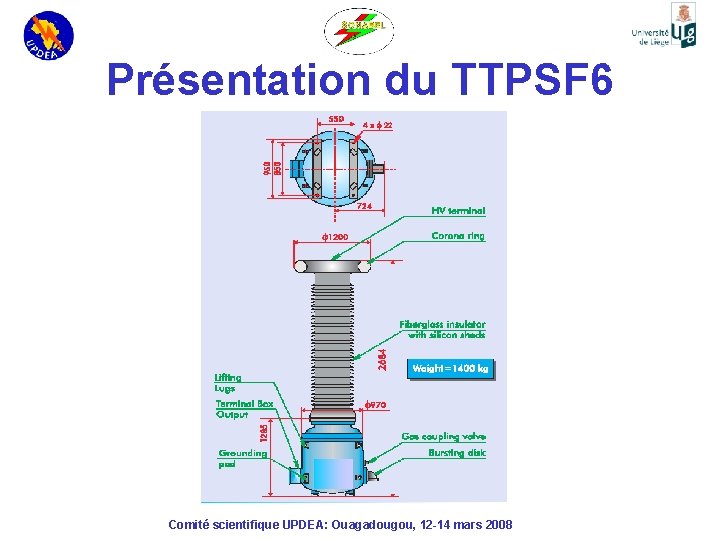 Présentation du TTPSF 6 Comité scientifique UPDEA: Ouagadougou, 12 -14 mars 2008 