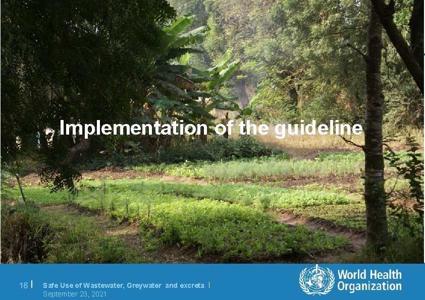 Implementation of the guideline 16 | Safe Use of Wastewater, Greywater and excreta |