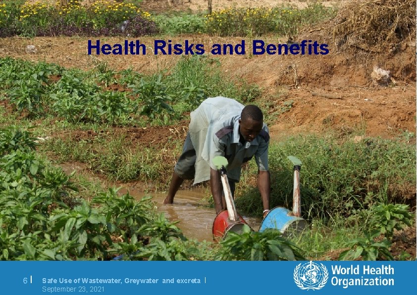 Health Risks and Benefits 6| Safe Use of Wastewater, Greywater and excreta | September