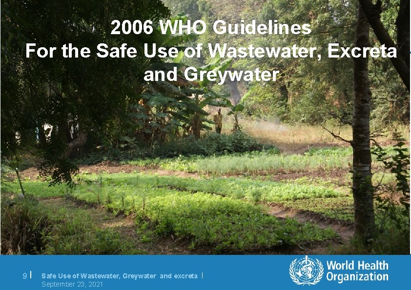 2006 WHO Guidelines For the Safe Use of Wastewater, Excreta and Greywater 9| Safe