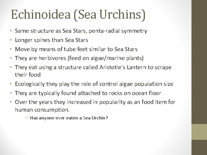 Echinoidea (Sea Urchins) Same structure as Sea Stars, penta-radial symmetry Longer spines than Sea