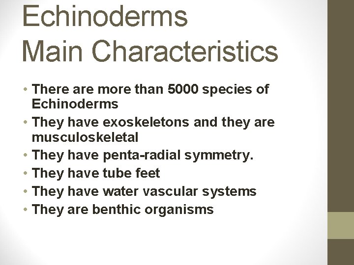 Echinoderms Main Characteristics • There are more than 5000 species of Echinoderms • They