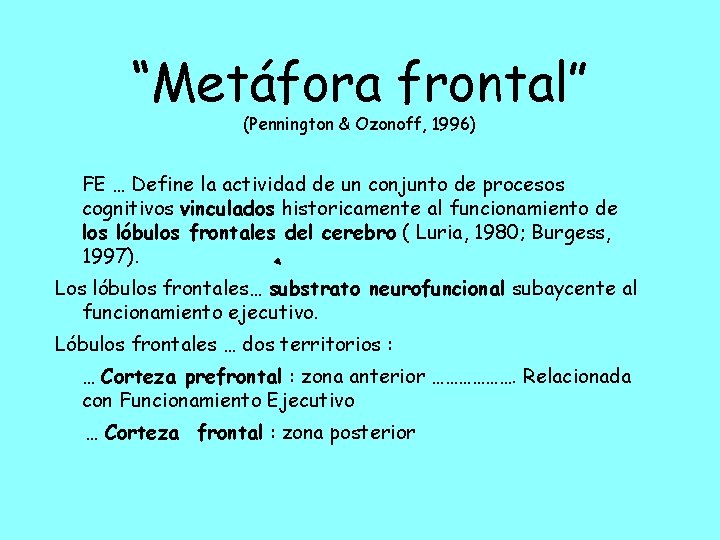 “Metáfora frontal” (Pennington & Ozonoff, 1996) FE … Define la actividad de un conjunto