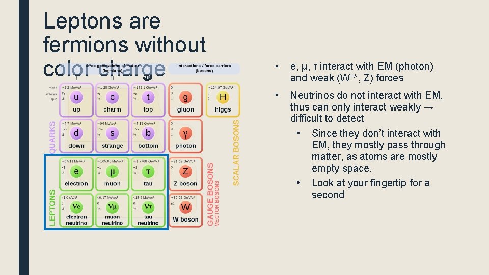 Leptons are fermions without color charge • e, µ, τ interact with EM (photon)