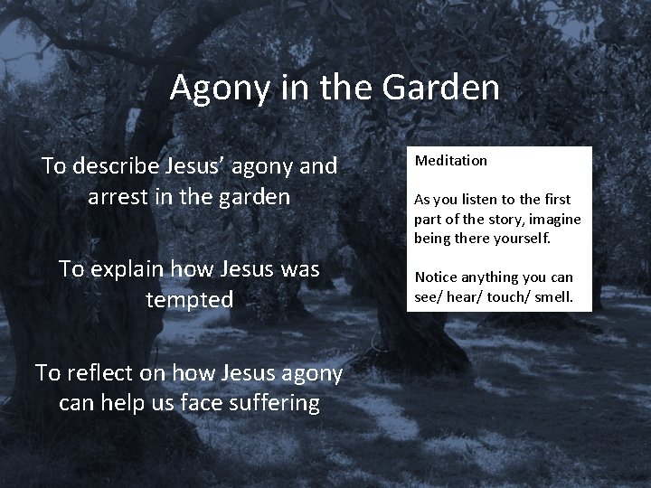 Agony in the Garden To describe Jesus’ agony and arrest in the garden To