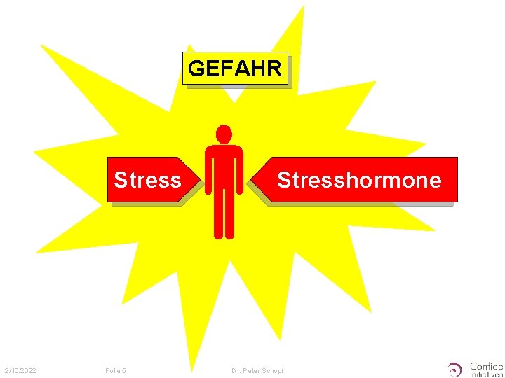 GEFAHR Stress 2/16/2022 Folie 5 Stresshormone Dr. Peter Schopf 