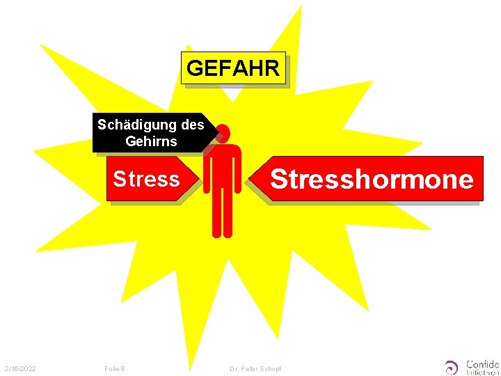 GEFAHR Schädigung des Gehirns Stress 2/16/2022 Folie 8 Stresshormone Dr. Peter Schopf 