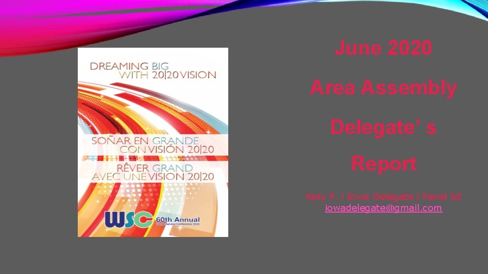 June 2020 Area Assembly Delegate’ s Report Katy P. l Iowa Delegate l Panel