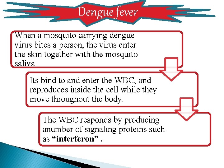 Dengue fever When a mosquito carrying dengue virus bites a person, the virus enter