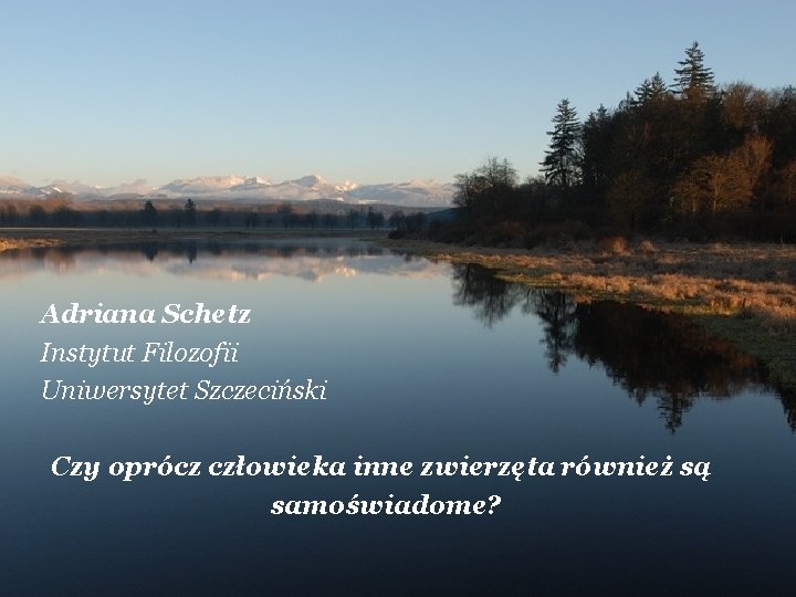 Adriana Schetz Instytut Filozofii Uniwersytet Szczeciński Czy oprócz człowieka inne zwierzęta również są samoświadome?