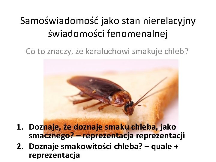 Samoświadomość jako stan nierelacyjny świadomości fenomenalnej Co to znaczy, że karaluchowi smakuje chleb? 1.