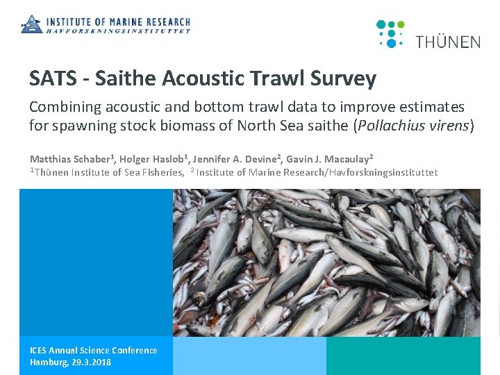 SATS - Saithe Acoustic Trawl Survey Combining acoustic and bottom trawl data to improve