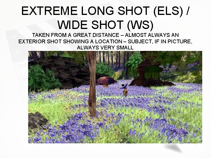 EXTREME LONG SHOT (ELS) / WIDE SHOT (WS) TAKEN FROM A GREAT DISTANCE –