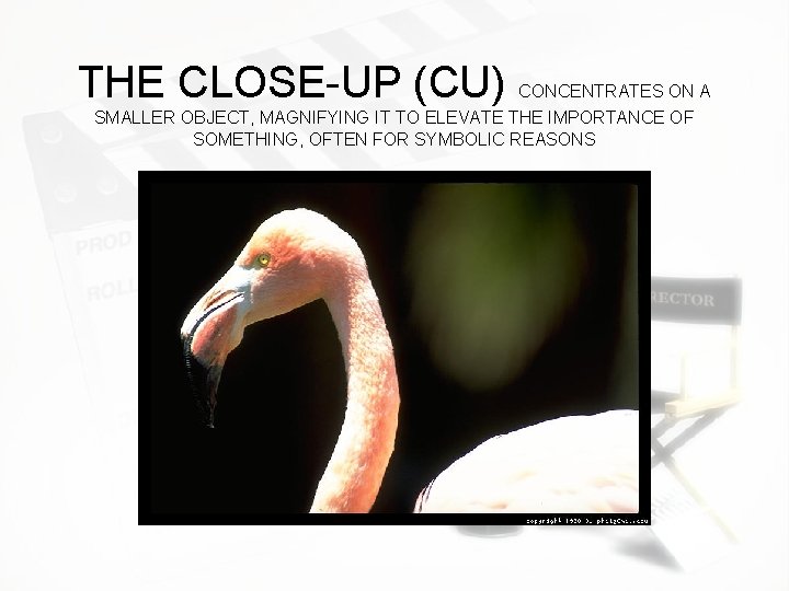 THE CLOSE-UP (CU) CONCENTRATES ON A SMALLER OBJECT, MAGNIFYING IT TO ELEVATE THE IMPORTANCE