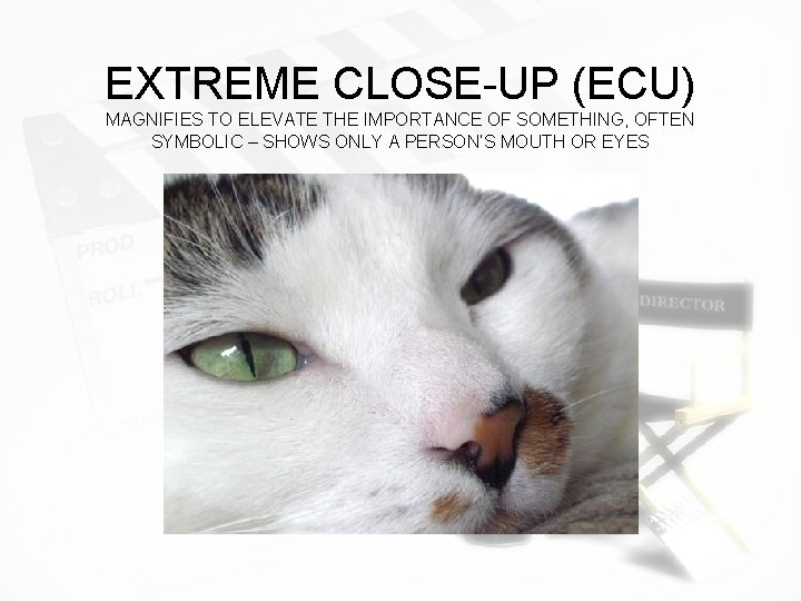 EXTREME CLOSE-UP (ECU) MAGNIFIES TO ELEVATE THE IMPORTANCE OF SOMETHING, OFTEN SYMBOLIC – SHOWS