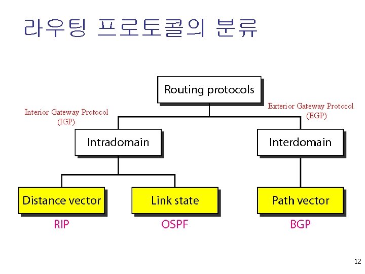 라우팅 프로토콜의 분류 Interior Gateway Protocol (IGP) Exterior Gateway Protocol (EGP) 12 