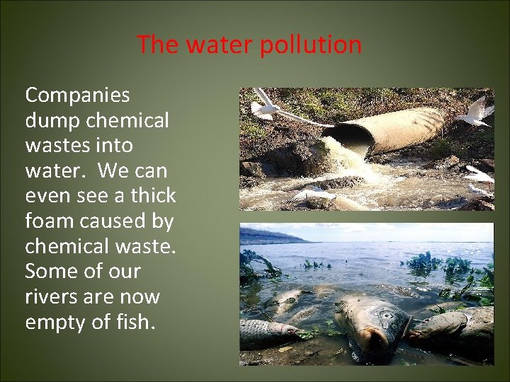 The water pollution Companies dump chemical wastes into water. We can even see a