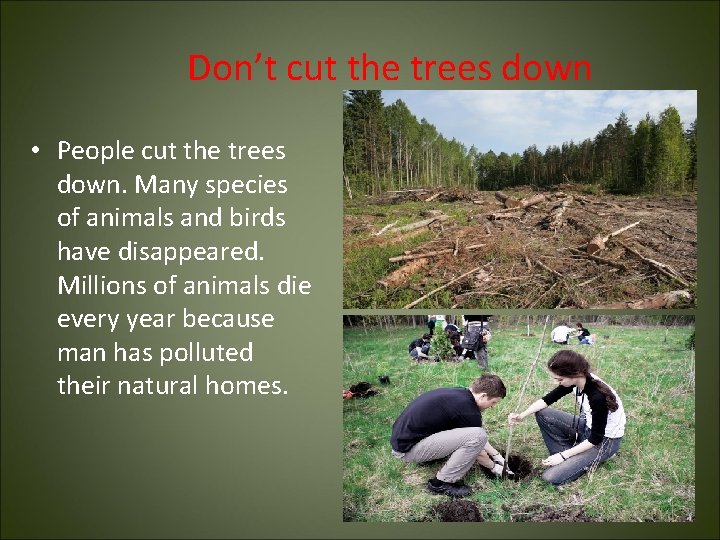 Don’t cut the trees down • People cut the trees down. Many species of