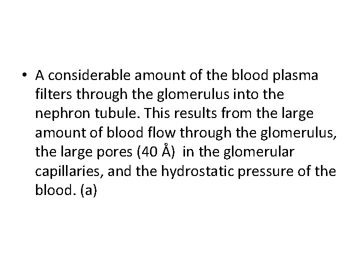  • A considerable amount of the blood plasma filters through the glomerulus into