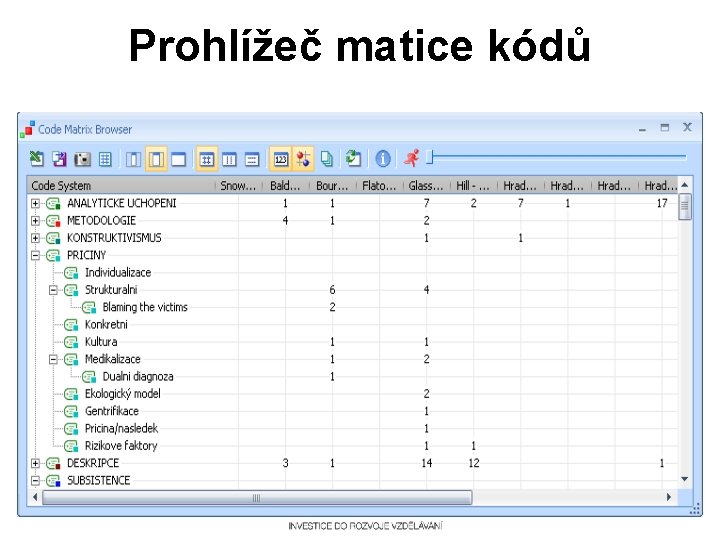 Prohlížeč matice kódů 