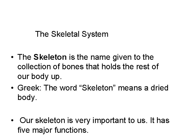The Skeletal System • The Skeleton is the name given to the collection of