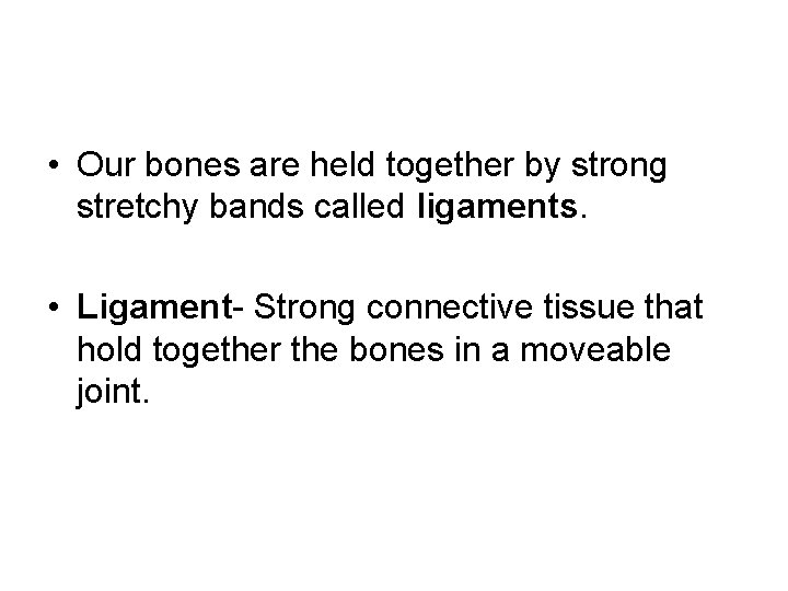  • Our bones are held together by strong stretchy bands called ligaments. •