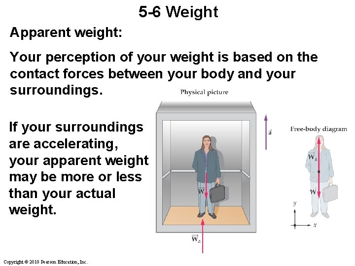5 -6 Weight Apparent weight: Your perception of your weight is based on the