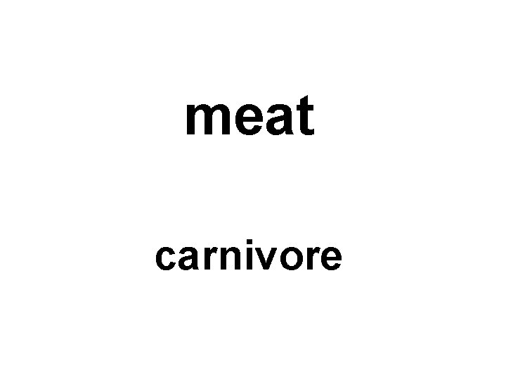 meat carnivore 