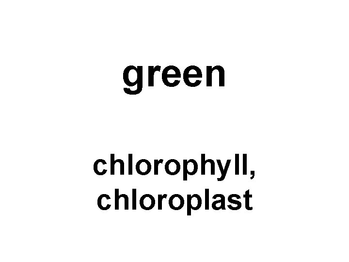 green chlorophyll, chloroplast 