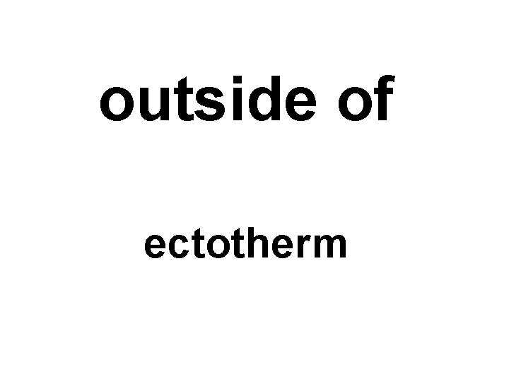 outside of ectotherm 
