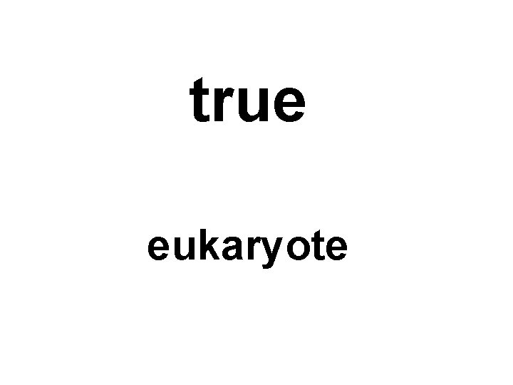true eukaryote 