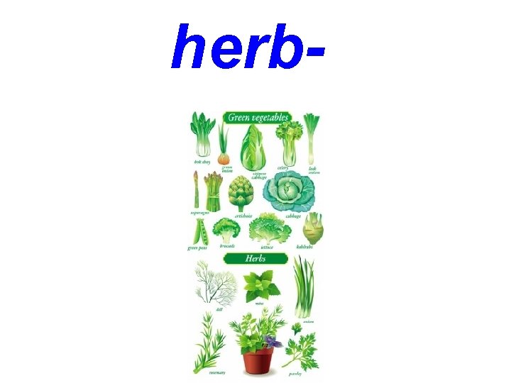 herb- 